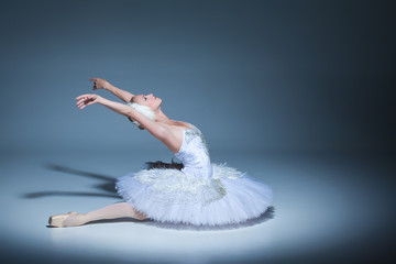 Swan Lake Ballet Adobe Stock Photo