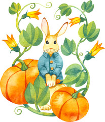 Peter Rabbit Adobe Stock Photo