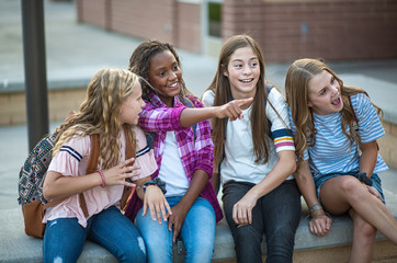 high school clique adobe stock photo