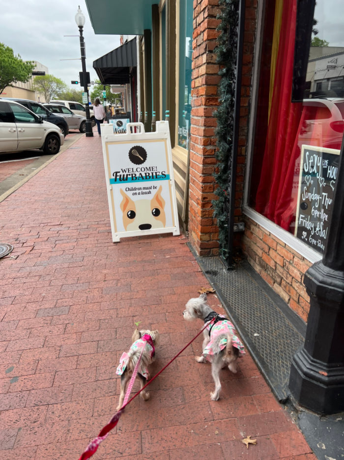 Dogs outside of FurBabies Bakery in downtown Plano.