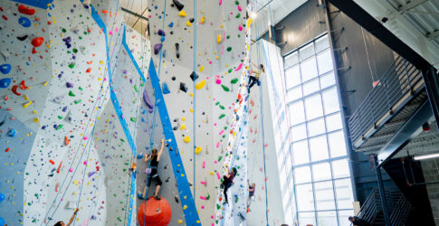 Image of Movement Climbing – Plano