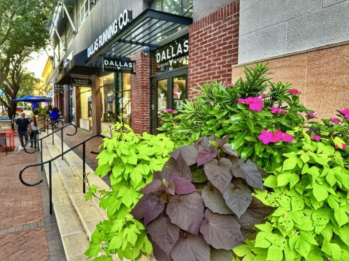 The Shops at Legacy in Plano, TX during Jenna's girlfriend getaway