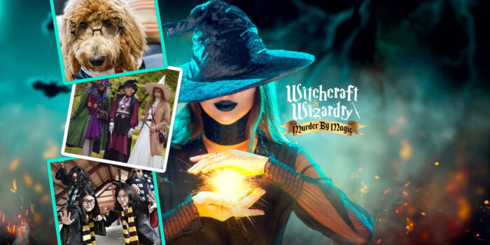CluedUpp Games Witchcraft & Wizardry