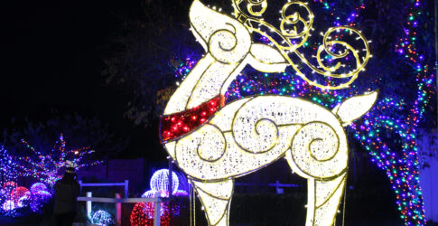 Image of 2023 Plano TX Holiday Event Guide