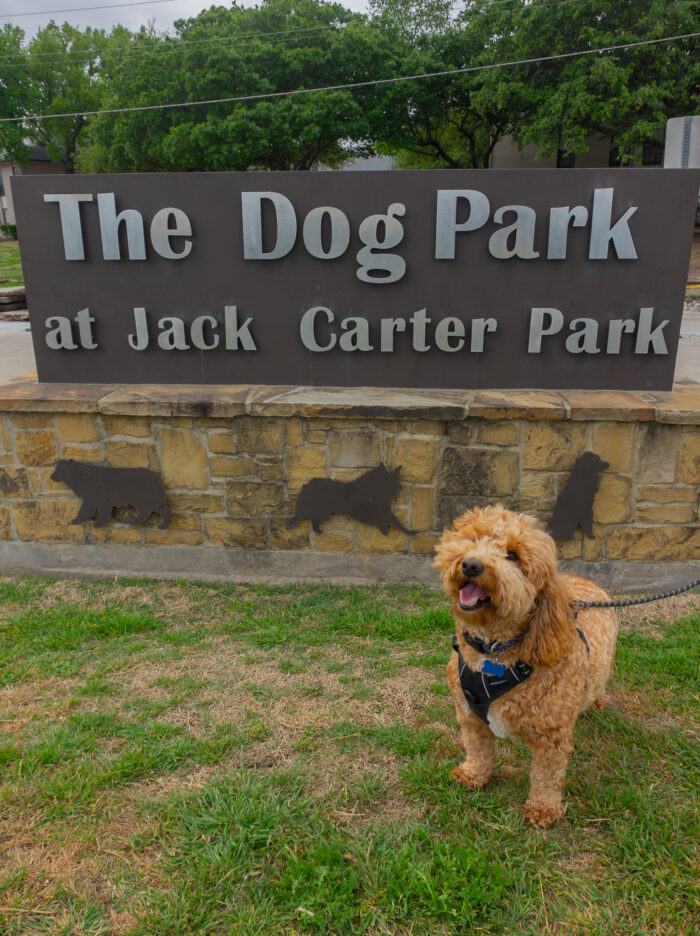 Dog in front of The Dog Park at Jack Carter Park