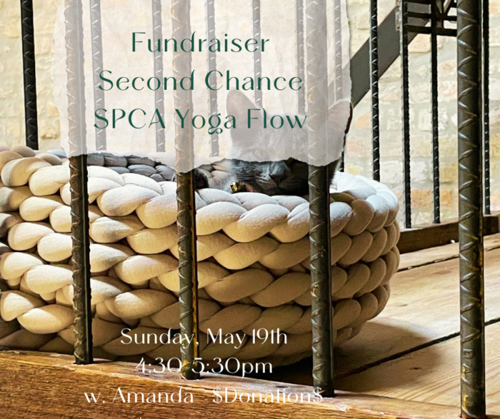 Fundraiser ~ Second Chance SPCA Yoga Flow