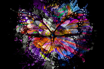Colorful Butterfly ADobe Stock Photo