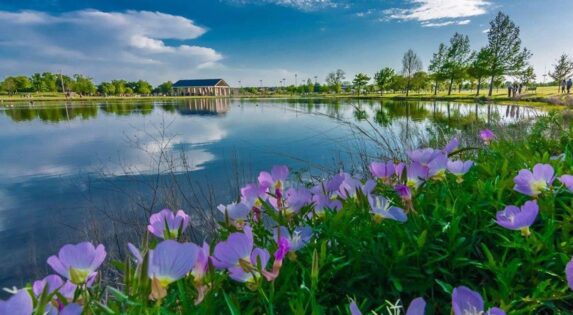 Image of Your Guide to Mental Health & Wellness in Plano