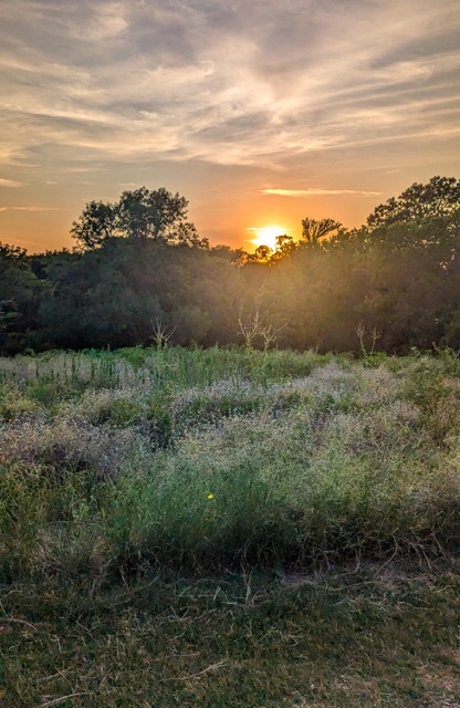 Texas Wanderers hiking at Arbor Hills Nature Preserve in Plano, TX