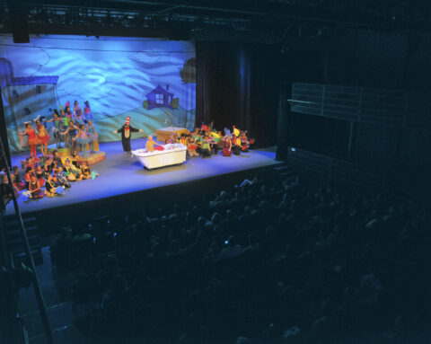 Image of Plano’s Creative Pulse: Performing Arts & Venues