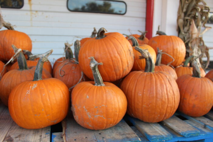 Pumpkins