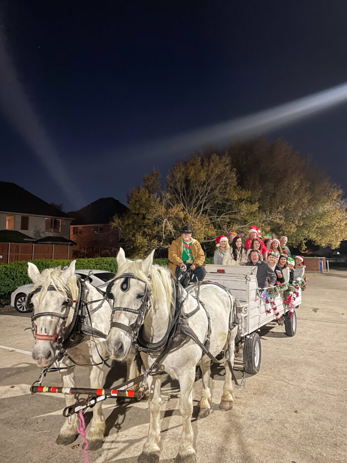 Deerfield Christmas Lights