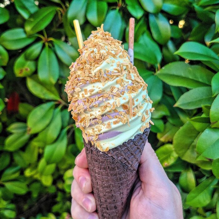 Sugar Pine Creamery