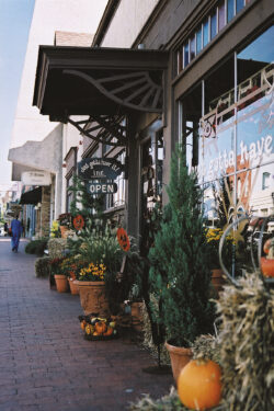Downtown Plano Arts District