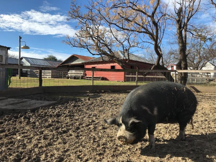 Heritage Farmstead Museum