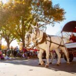 Two white horses pull a red and white wagon with people sitting inside during a sunny autumn parade. Spectators line the street, and colorful fall trees are in the background.