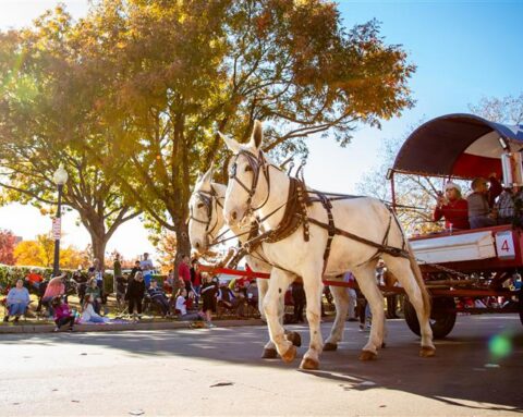Image of You Haven’t Seen Plano Until You’ve Visited Every Season
