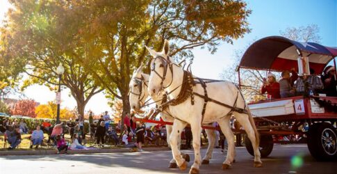 Image of You Haven’t Seen Plano Until You’ve Visited Every Season