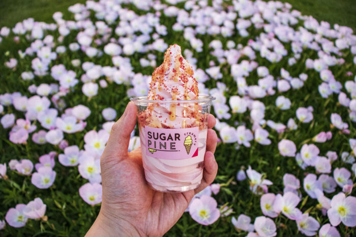 A hand holds a cup of Sugar Pine ice cream, swirled pink and topped with sprinkles, against a backdrop of blooming pale pink flowers and lush green grass.