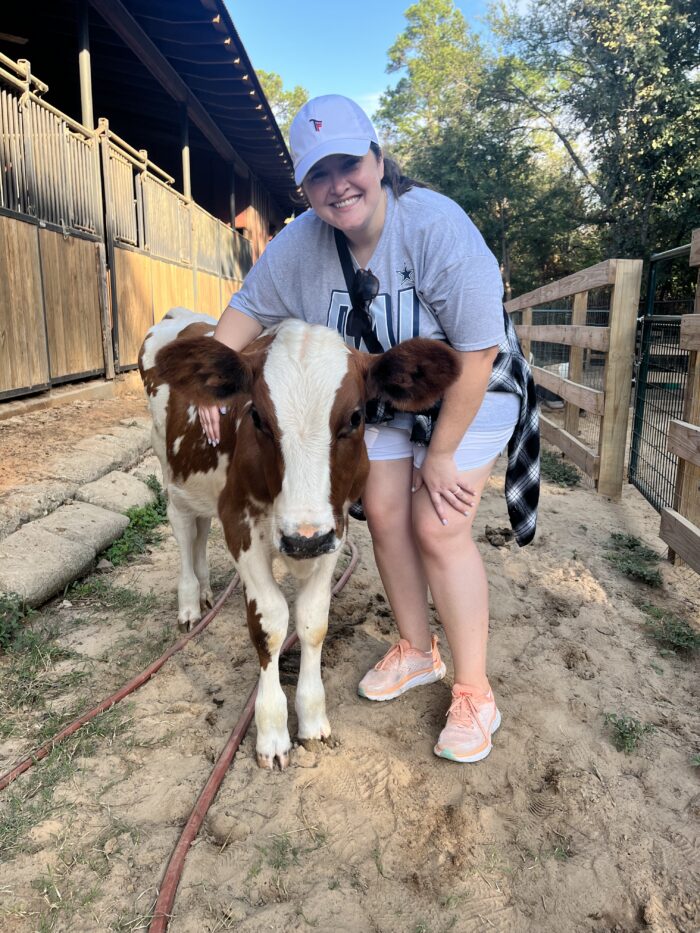 A smiling woman in a gray shirt and orange sneakers stands next to and pets a brown and white calf at a sandy outdoor farm area with wooden fences and a stable in the background.
