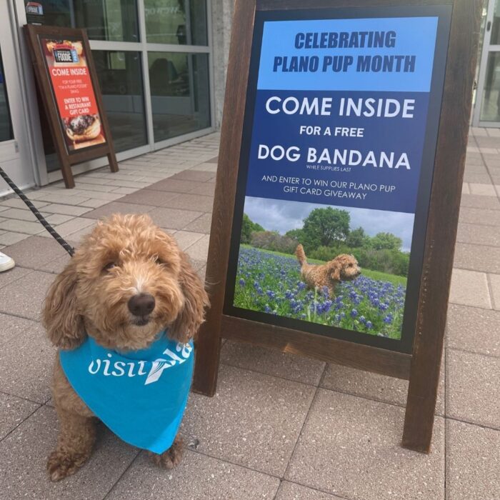 A curly-haired dog wearing a blue visit bandana sits outside a sign promoting Plano Pup Month with a dog photo and details about free bandanas and a gift card giveaway.